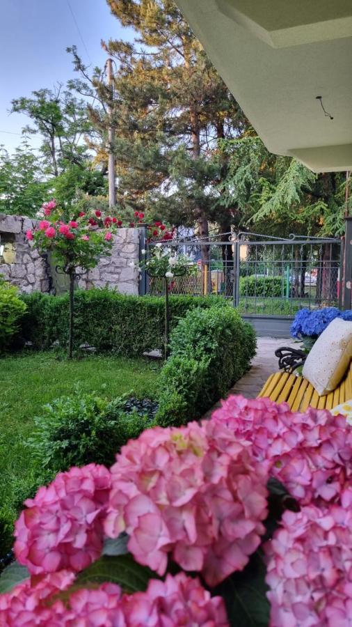 Apartman L&M ツェティニェ エクステリア 写真
